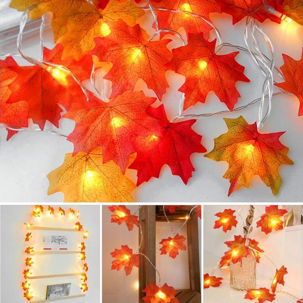 Autumn String Lights