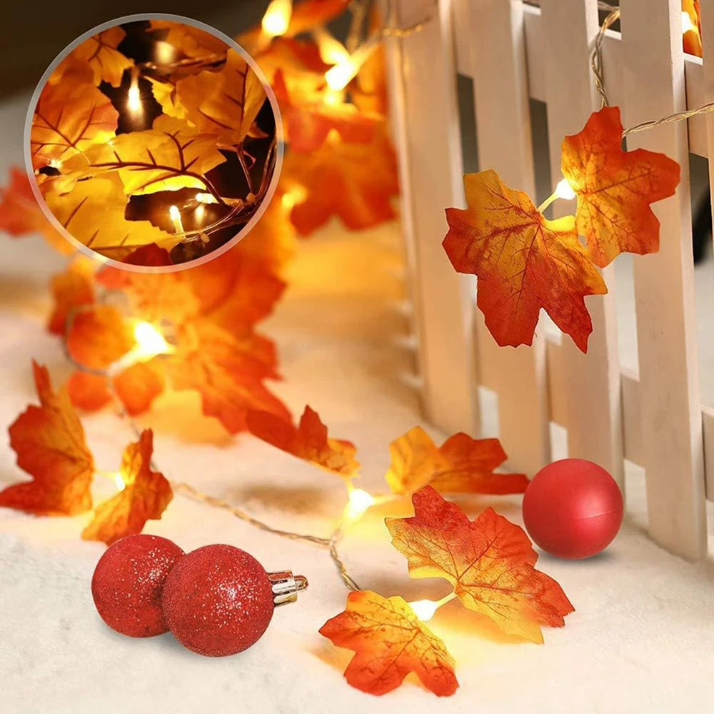Autumn String Lights