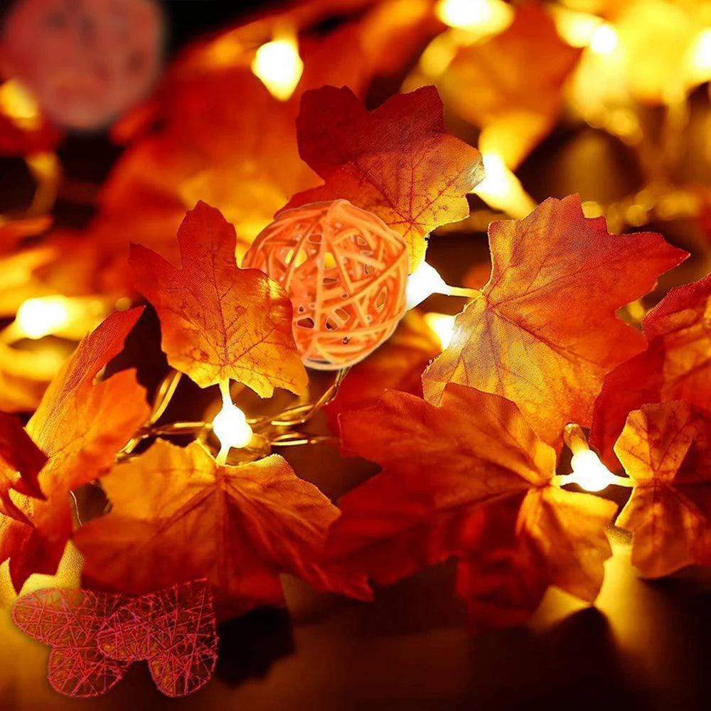 Autumn String Lights